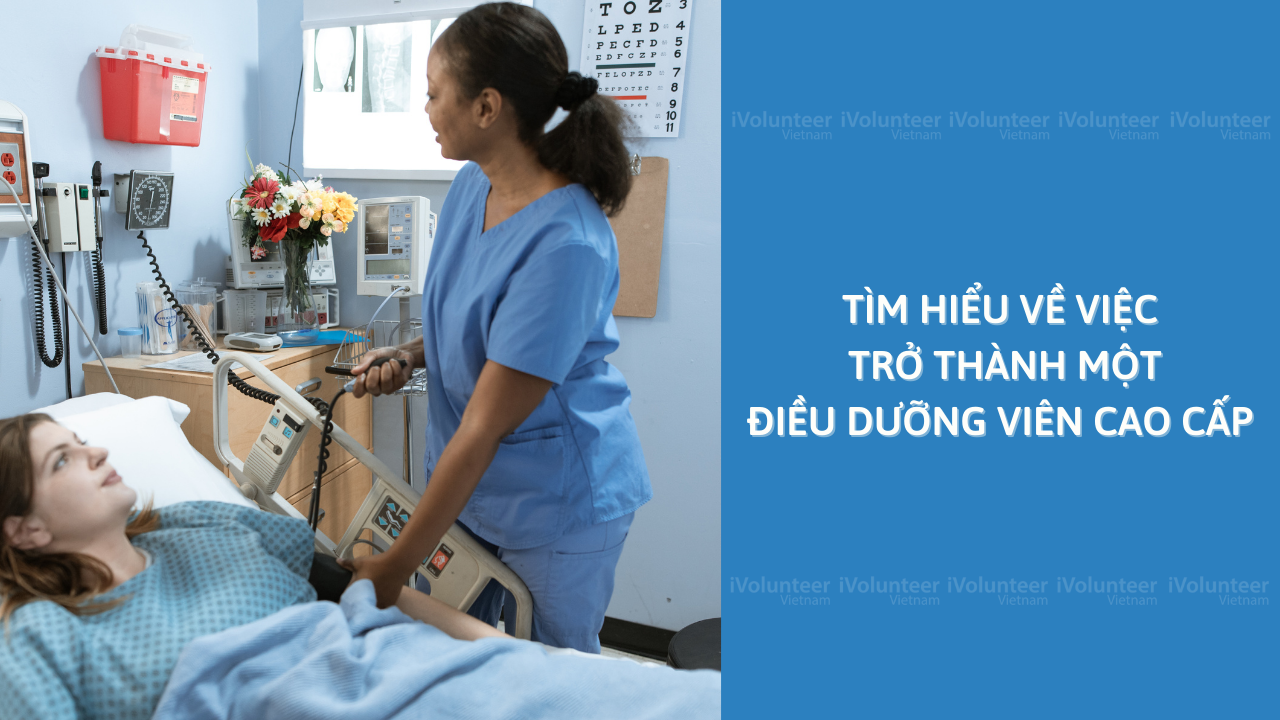 Tìm Hiểu Về Việc Trở Thành Một Điều Dưỡng Viên Cao Cấp