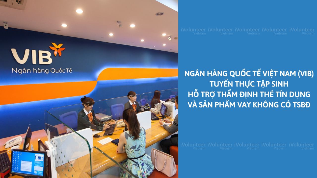 Ngân Hàng Quốc Tế Việt Nam (VIB) Tuyển Thực Tập Sinh Hỗ Trợ Thẩm Định Thẻ Tín Dụng Và Sản Phẩm Vay Không Có TSBĐ