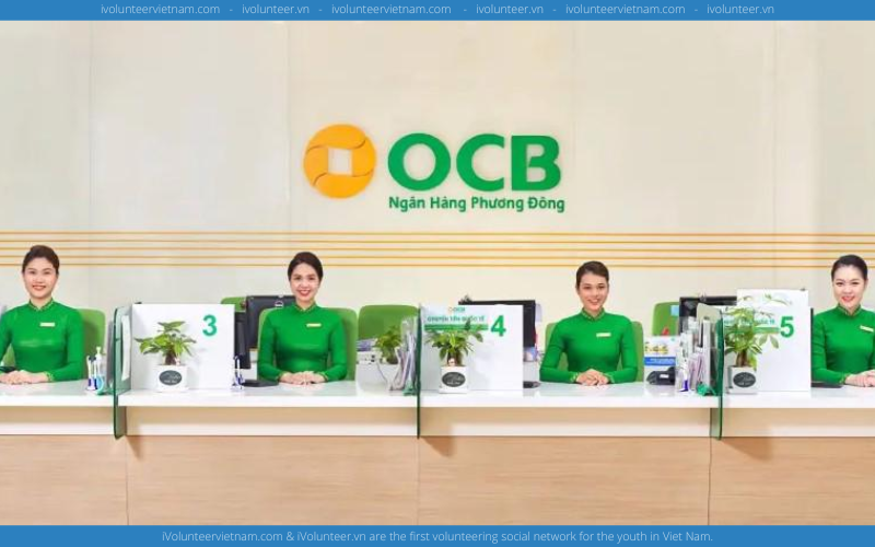 Ngân Hàng Phương Đông - OCB Tuyển Dụng Thực Tập Sinh Khách Hàng Cá Nhân