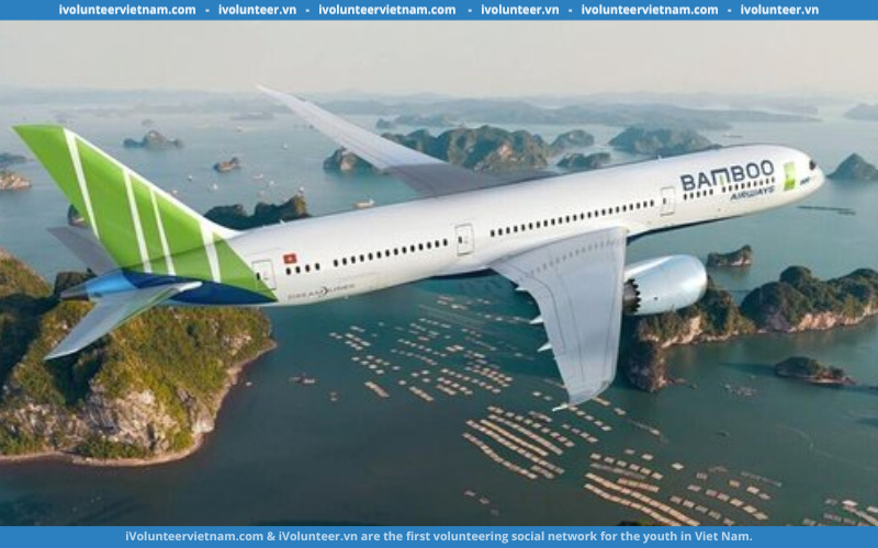 Bamboo Airways Tuyển Dụng Thực Tập Sinh Phòng Phát Triển Tổ Chức Và Quản Trị Hệ Thống