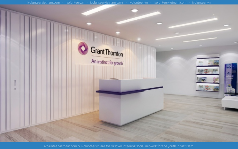 Tập Đoàn Kiểm Toán Đa Quốc Gia Grant Thornton Tuyển Dụng Thực Tập Sinh Kiểm Toán - Tư Vấn Thuế Full-time 2022