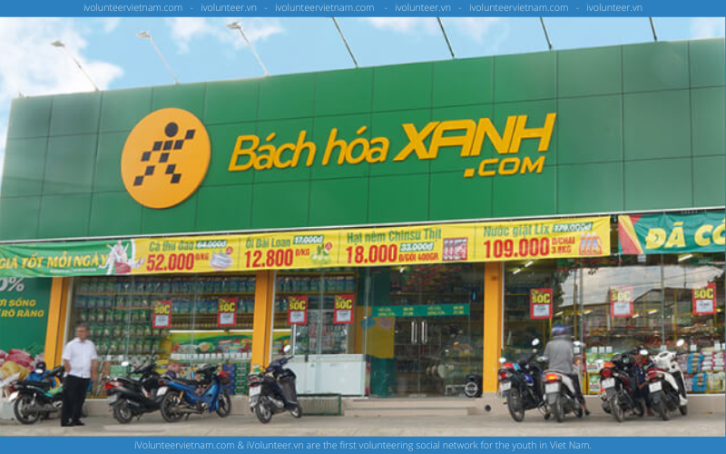 Chuỗi Bán Lẻ Bách Hóa Xanh Tuyển Cộng Tác Viên Giám Sát An Ninh