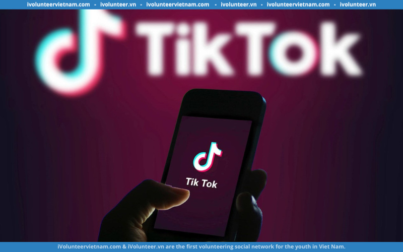 Tik Tok Tìm Kiếm Thực Tập Sinh Quản Lý Dự Án