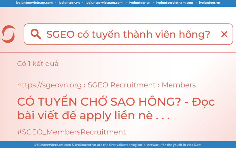 Dự Án Steps To Gender Equality Organization (SGEO) Chính Thức Mở Đơn Tuyển Thành Viên Đợt 1