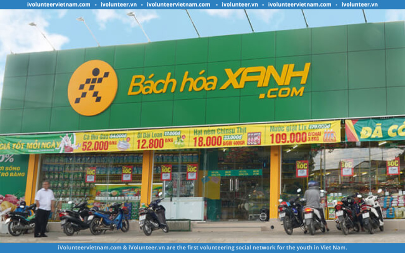 Chuỗi Bán Lẻ Bách Hóa Xanh Tuyển Nhân Viên Kho Bán Hàng Bách Hóa Xanh [Hàng Khô FMCG]