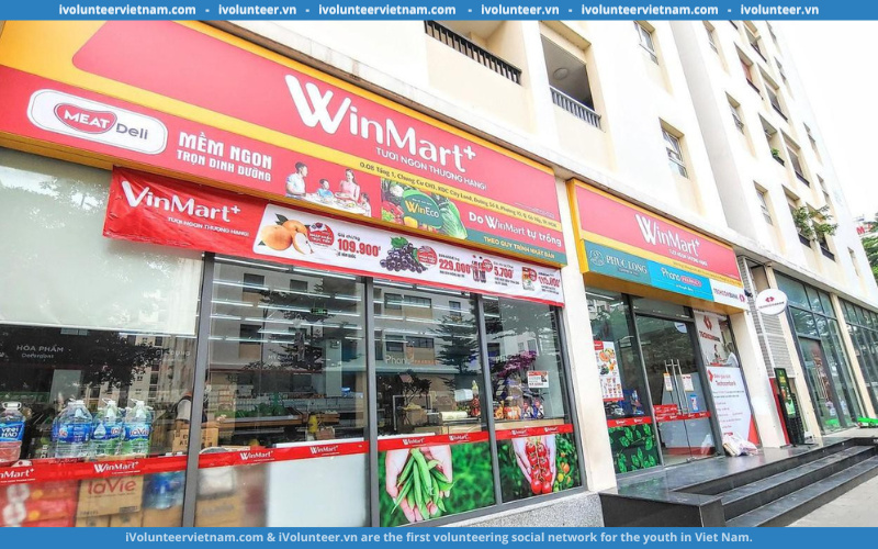 Hệ Thống Siêu Thị WinMart+ Tuyển 50 Nhân Viên Bán Hàng