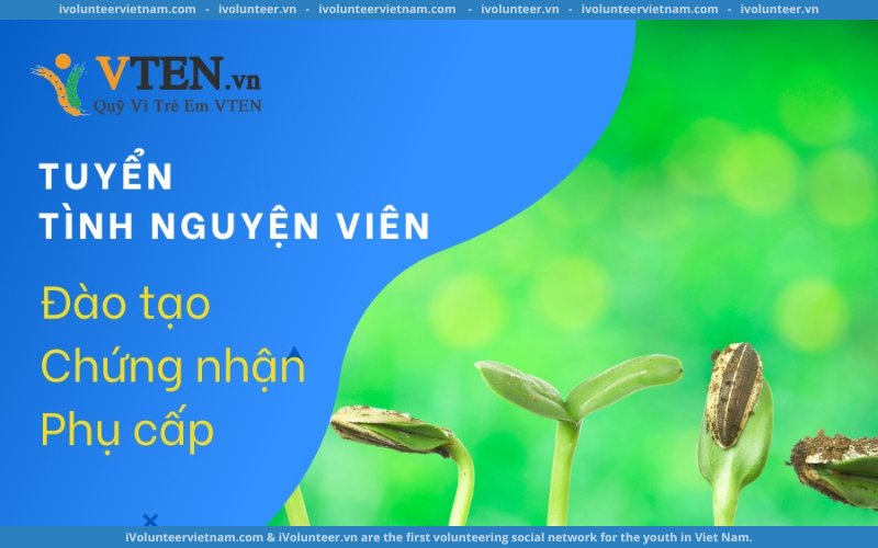 Quỹ Vì Trẻ Em VTEN Tuyển Dụng Tình Nguyện Viên Dịch Thuật Gây Quỹ 2022