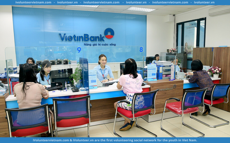 Bảo Hiểm Vietinbank Tuyển Thực Tập Sinh Ban Bồi Thường