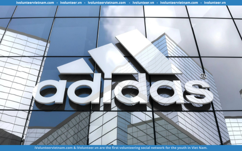 Adidas Việt Nam Tuyển Dụng Thực Tập Sinh Quality Footwear