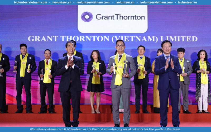 Tập Đoàn Đa Quốc Gia Grant Thornton Tuyển Thực Tập Sinh Tư Vấn/ Giải Pháp Kinh Doanh/ Thuế