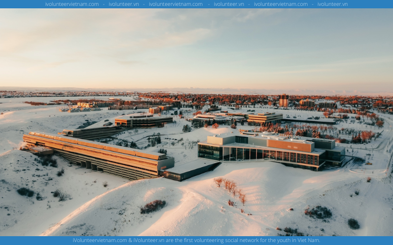 Học Bổng Alexander Barnhill Bursary Dành Cho Sinh Viên Quốc Tế Tại Đại Học Lethbridge