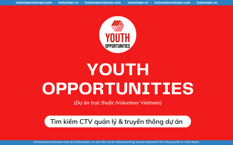 Dự Án Youth Opportunities Tìm Kiếm Cộng Tác Viên Quản Lý Và Truyền Thông Dự Án